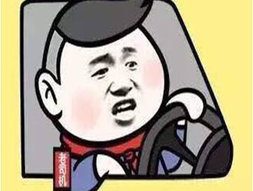 抽油宝也来担任老司机