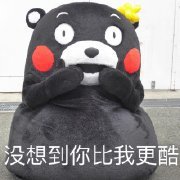 t01ce5ec74b7102adf8